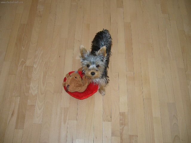 Foto: Vymaz�no !-[R]Zpr�va byla vymaz�na[/R] .. v : ()