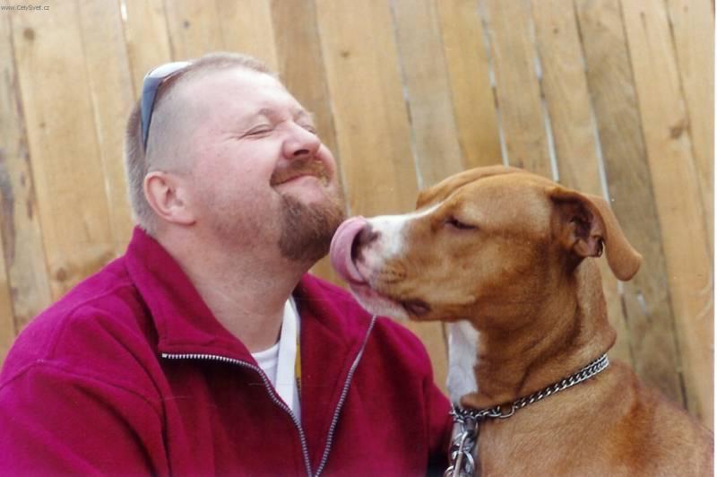 Foto: Americk� pitbull teri�r-Anonymn� chovatel