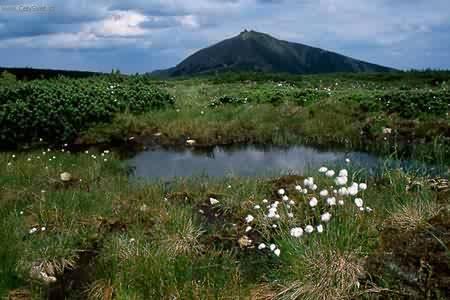 Fotky: Nejvy hory R (foto, obrazky)