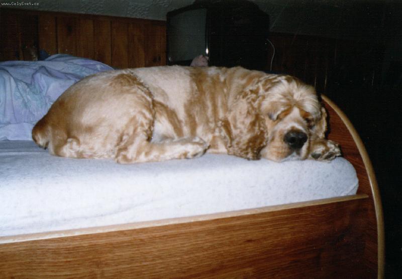 Foto: En�ulka-Muc��n��k =o)