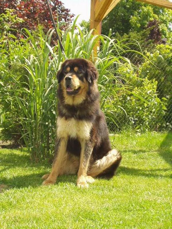 Foto: Bei Shan Padmaraga Drizai-Bei�ulka:-))