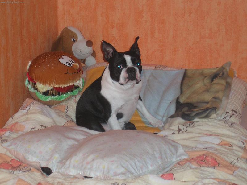 Foto: Nejkr�sn�j�� v�raz