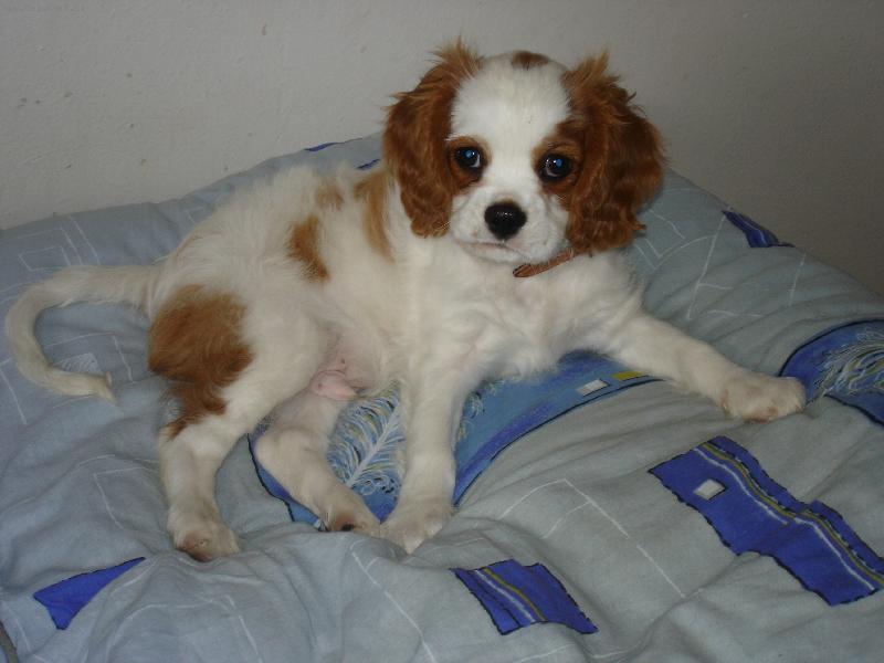 Foto: N� Dy�ek-Je to ale mazel