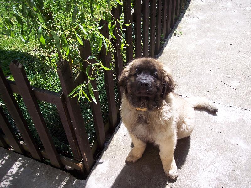 Foto: deny2-deny z plaskeho udol�