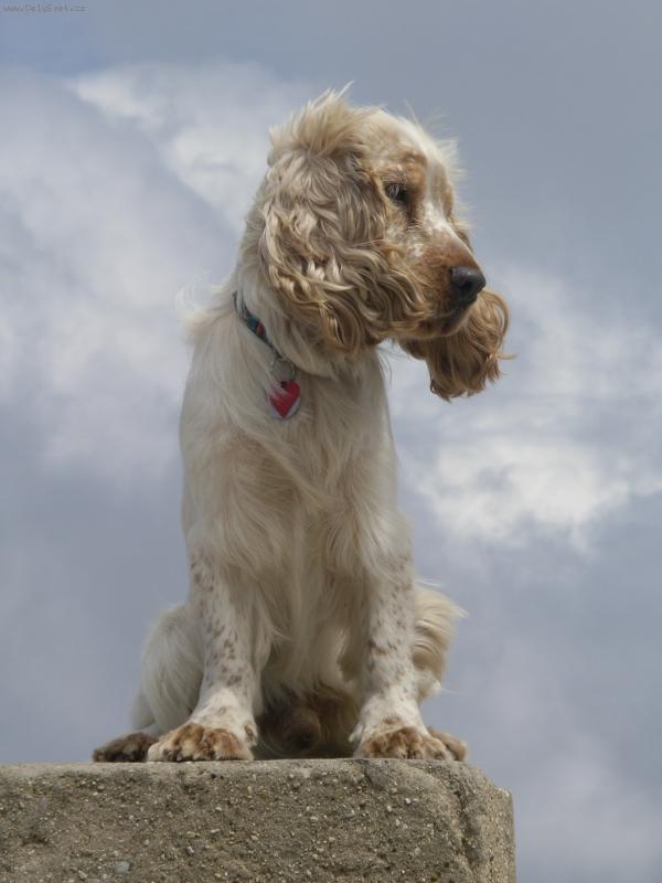 Foto: barnab� ve v�tru