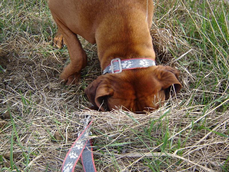 Foto: Ron-N�kde tady mus� b�t