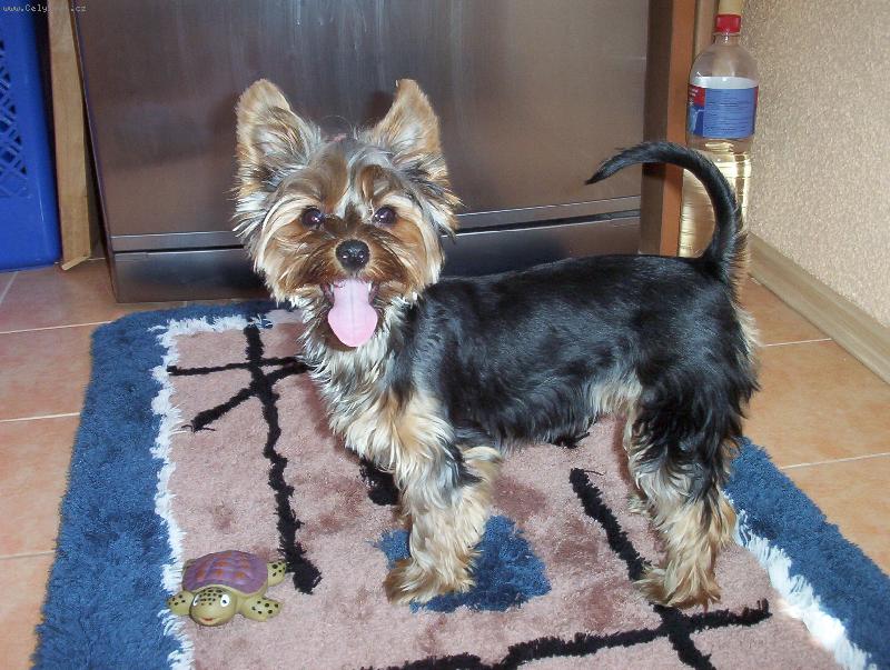 Foto: Lentilka �ehov�-Lentilka je j� 6 m�s�c� a takhle se sm�je