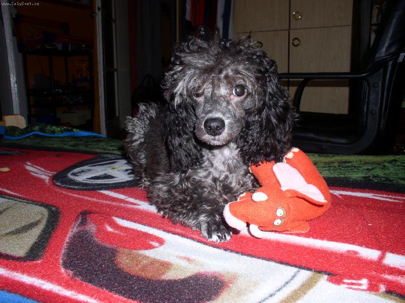 Foto: betty-voln� chvilka