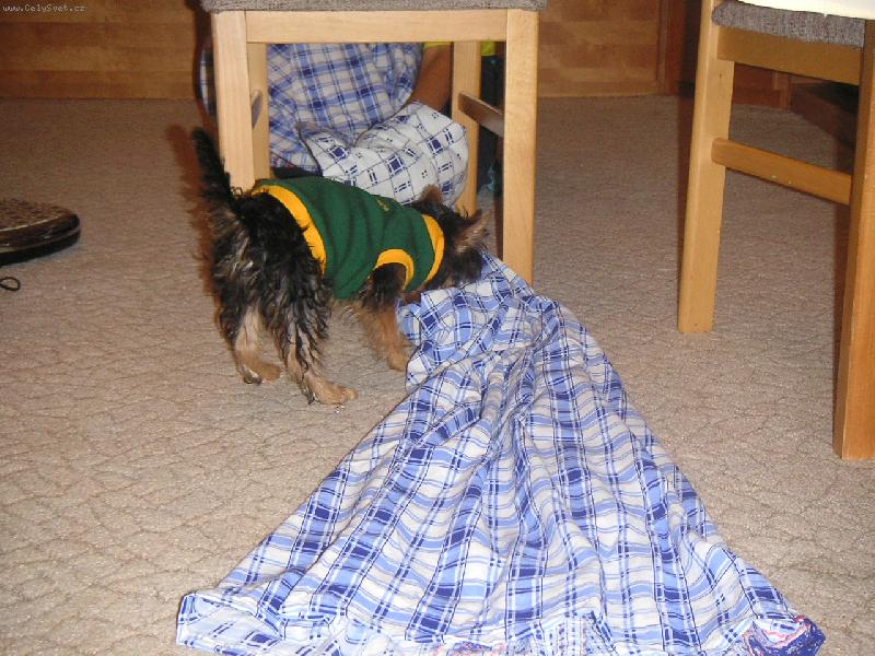 Foto: Nejd��ve prozkoum�m svou novou hra�ku... \"a je to tunel\"