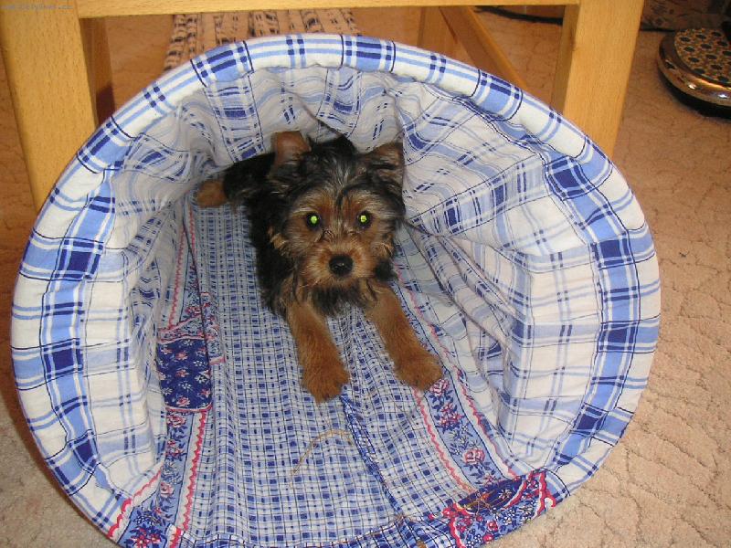 Foto: Tohle bude z�ejm� vchod:-)