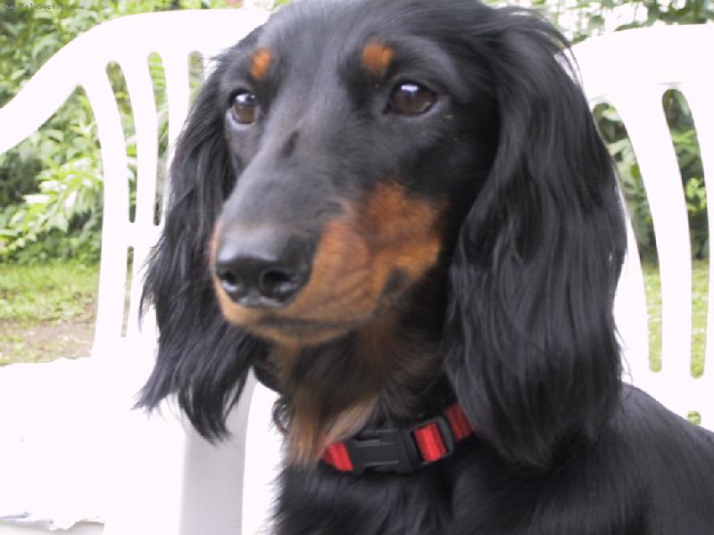 Foto: D�ja ze �t�kotu-hmmmm,dobr�tka