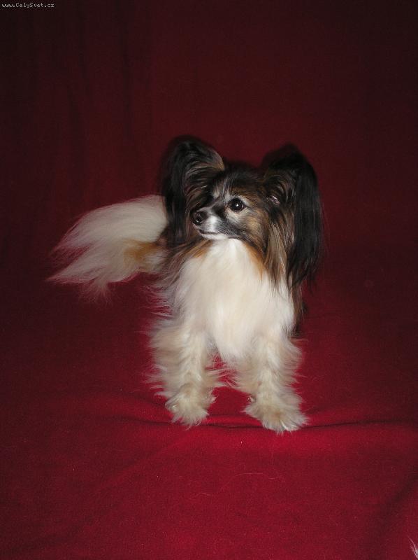 Foto: Cassiopea z Belerinadu-11ti let� fenka