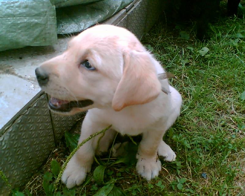 Foto: Speedy-Speedy 9/2006