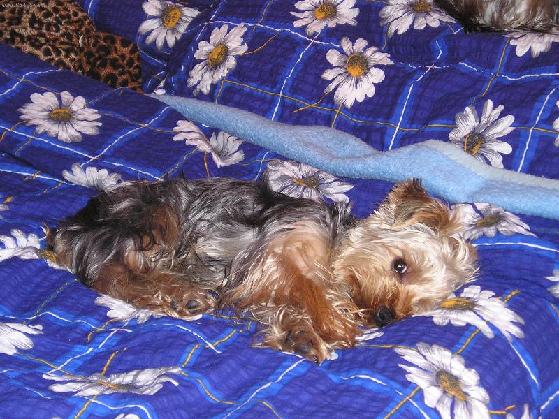 Foto: sobotni siesta