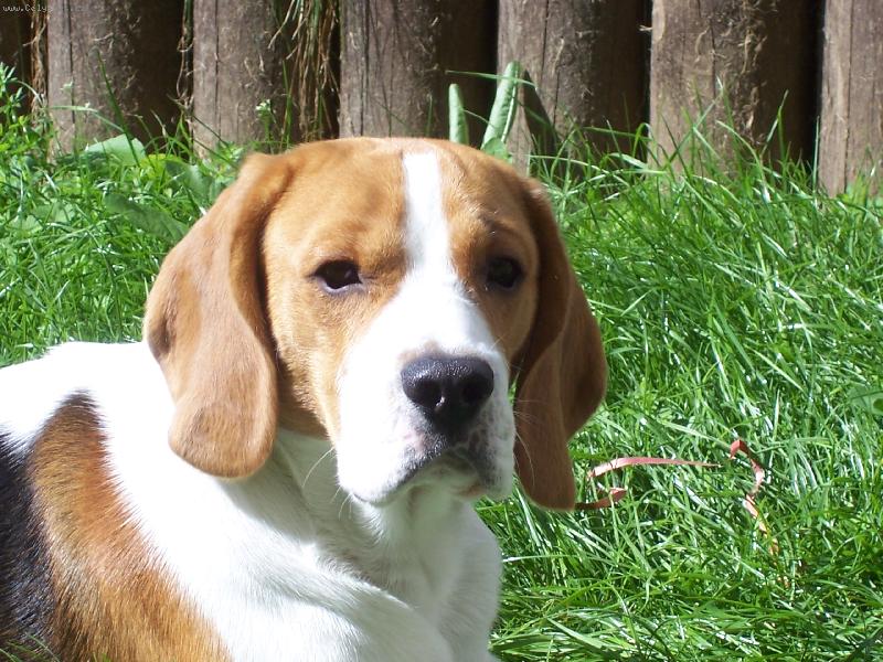 Foto: u� m� nefo�-j� se tak nerad fotim