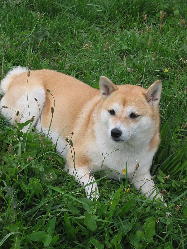 Foto: na proch�zce