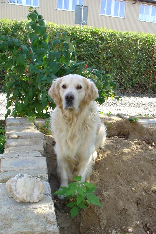 Foto: dag-m�j mil��ek