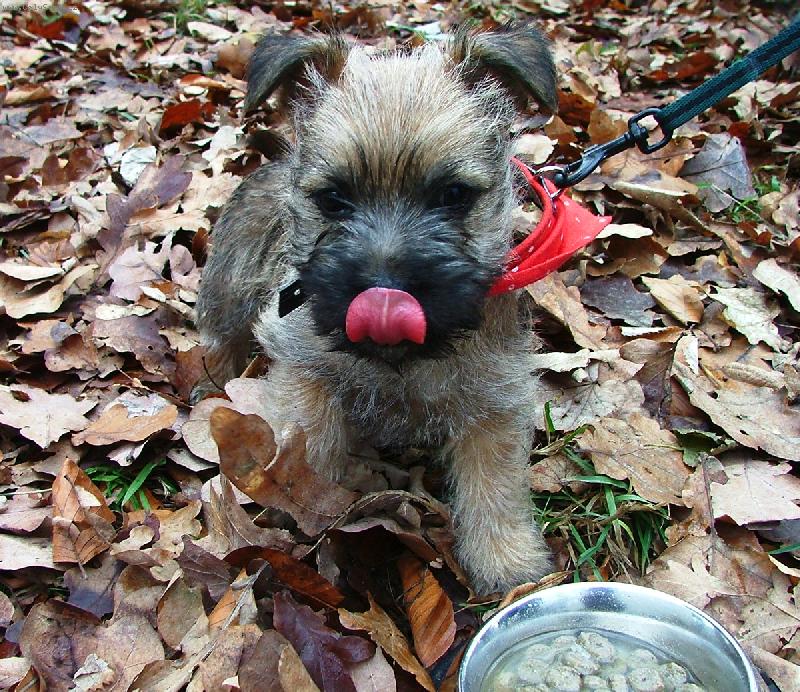 Foto: stene-cas na svacinku...