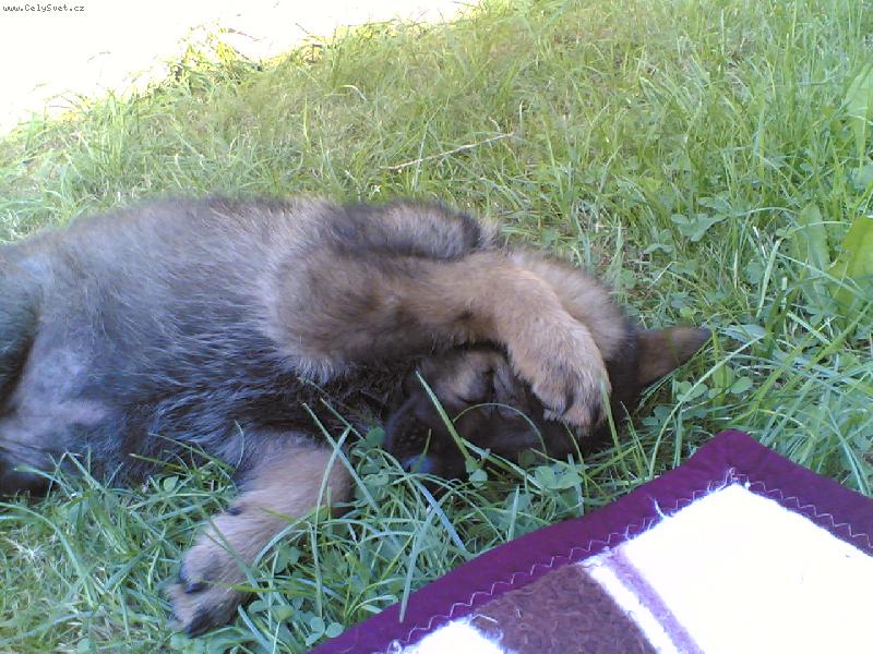 Foto: Holly-je�i� u� m� zase fot�....