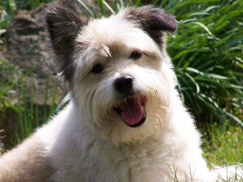 Foto: End��ek 1-v�ce fotek na http://home.tiscali.cz/seeprague/