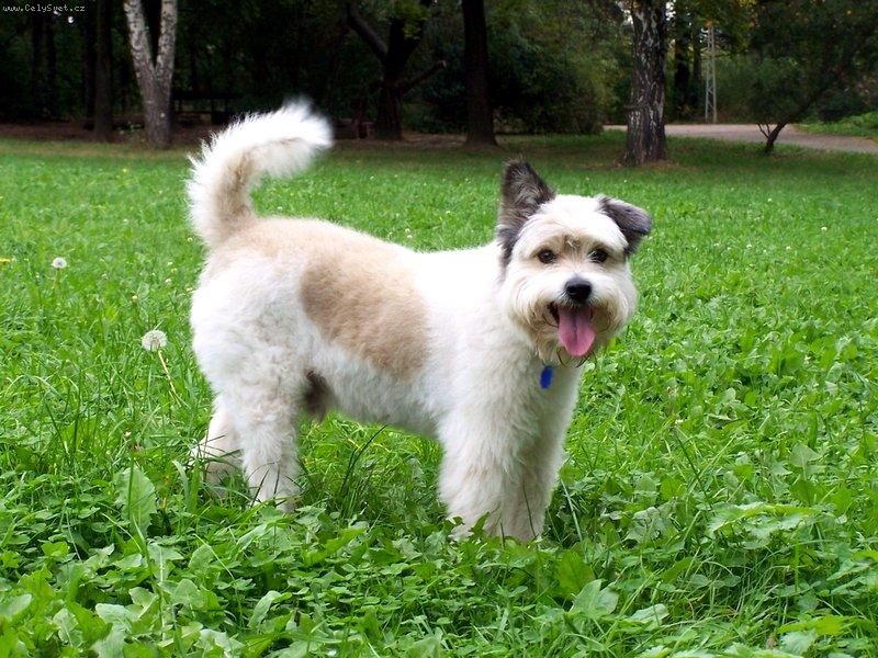 Foto: End��ek 2-v�ce fotek na http://home.tiscali.cz/seeprague/