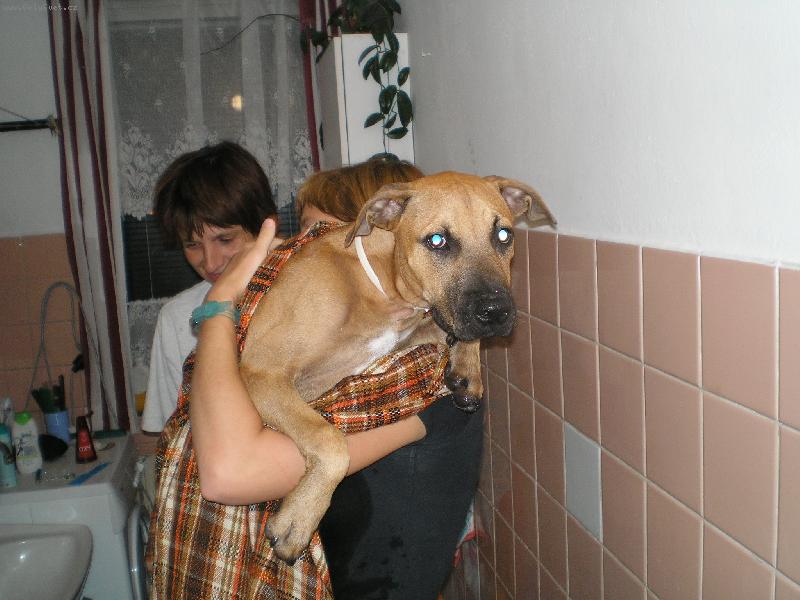 Foto: Mad�sek-Mad�sek po koupeli