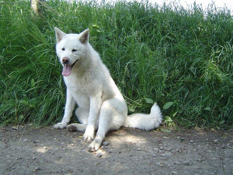 Foto: Aiki, 7 m�s�c�