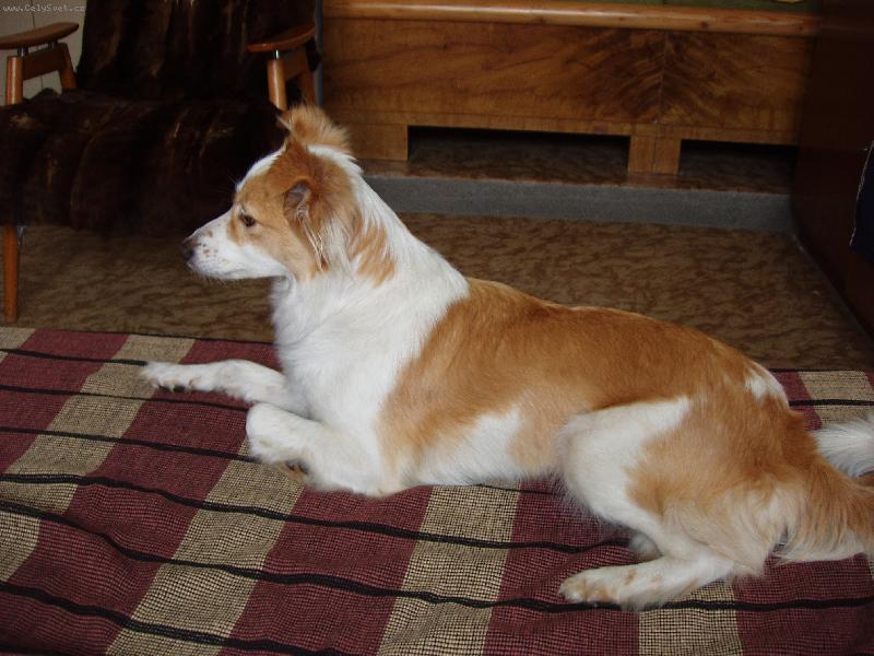 Foto: Aida-M�j mil��ek Aida