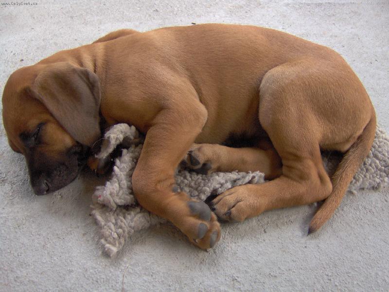 Foto: Meggy-Pssst...