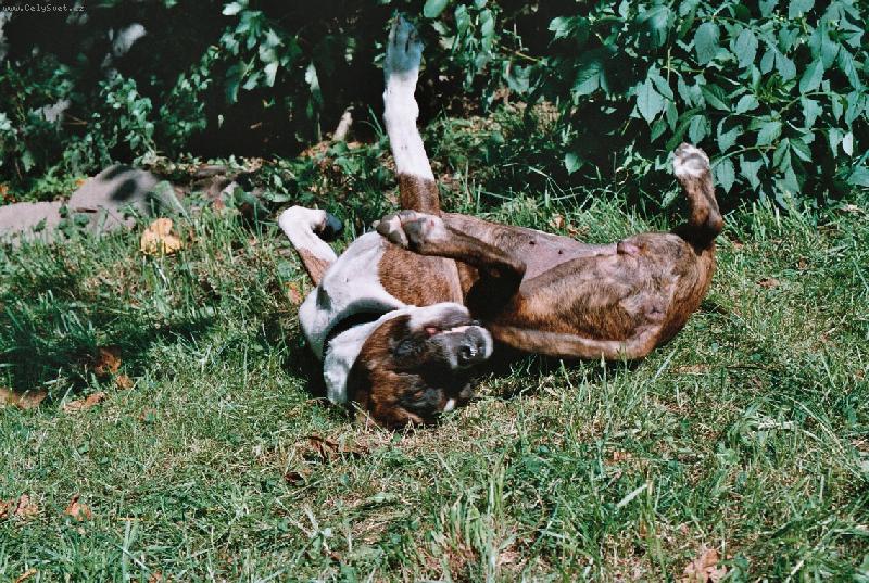 Foto: Slune�n� l�ze�