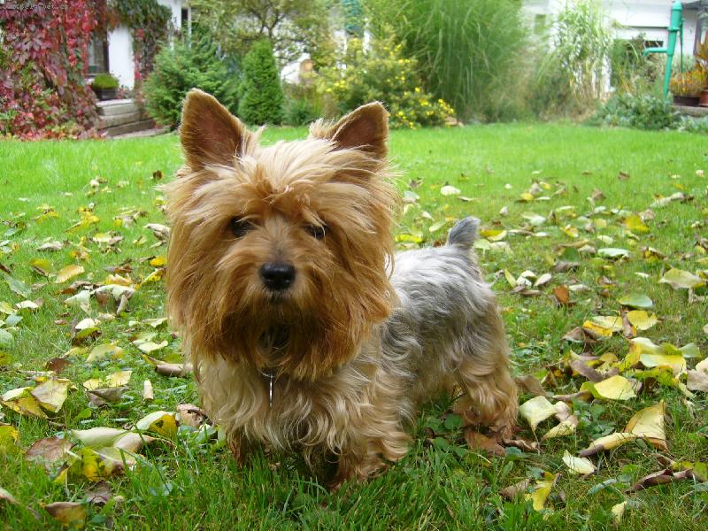 Foto: Peggynka-kuk :-)