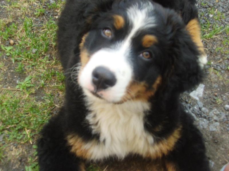 Foto: N� Mazlik-Tady na de mnou krout� hlavou co to d�l�m