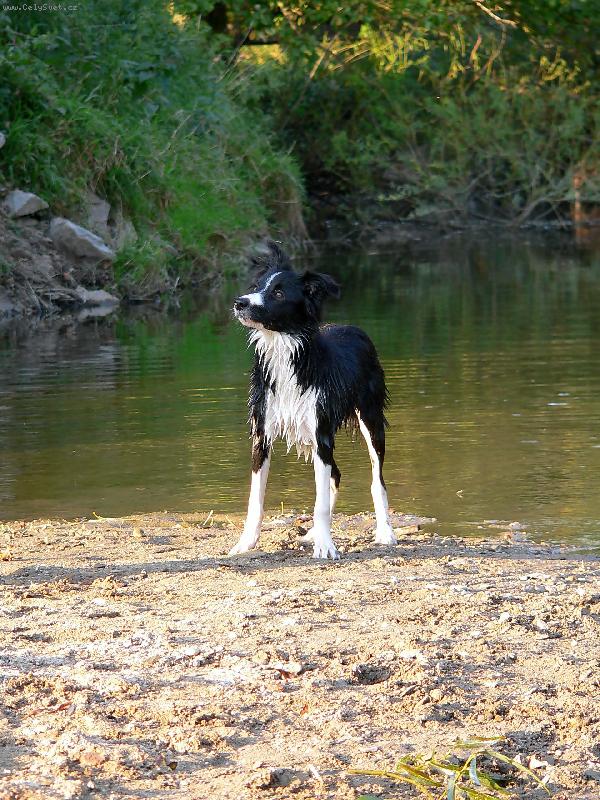 Foto: Borgia Corrie Mintaka-Vodn� �ivel