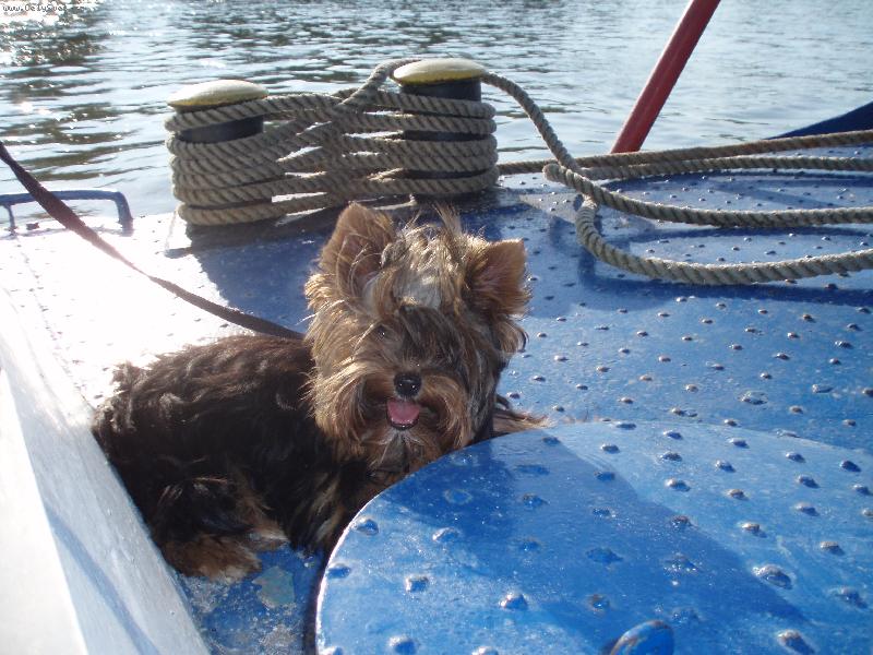 Foto: Celestyna Morelli