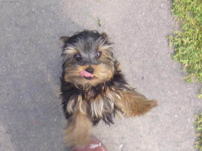 Foto: dej mi n�jakou dobr�tku!!!