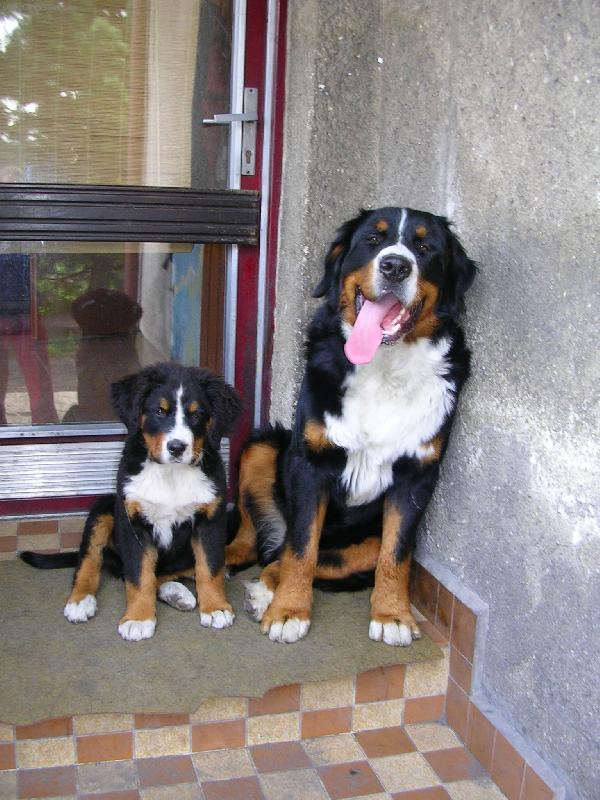 Foto: max�k a sam�k