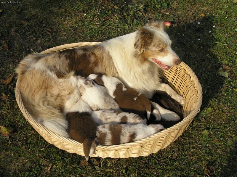 Foto: Pln� ko��k �t�st�:-)