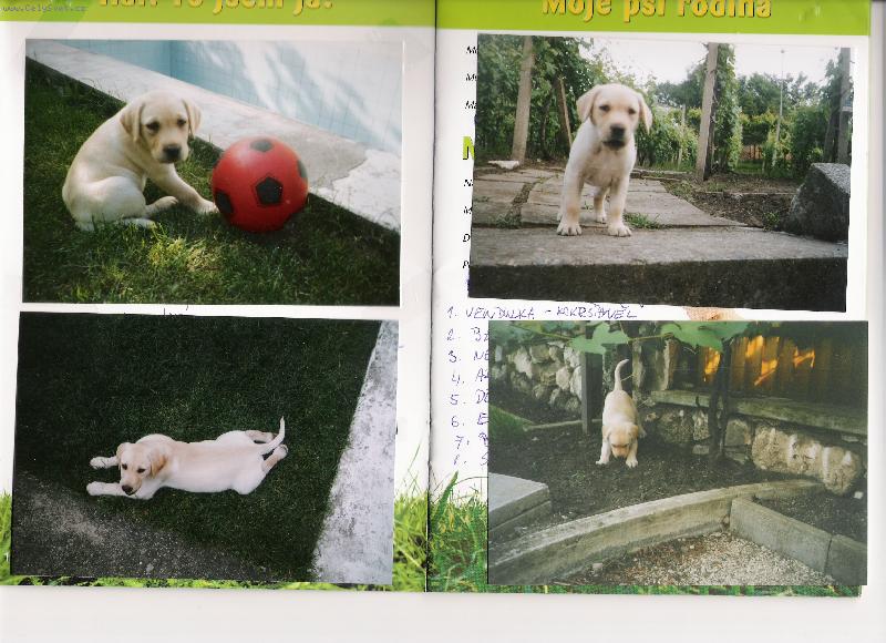 Foto: Tady je�t� byla �t���tko:)-Meginka