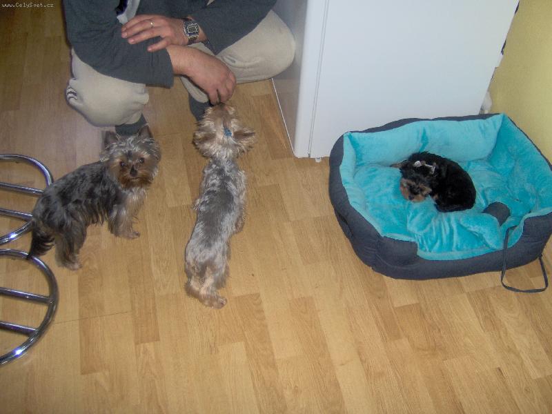 Foto: Charlie a Magie a Jerry