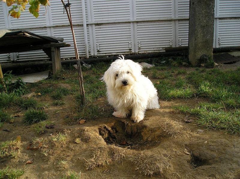 Foto: VENDY-to je moja jama, ale som sa narobila