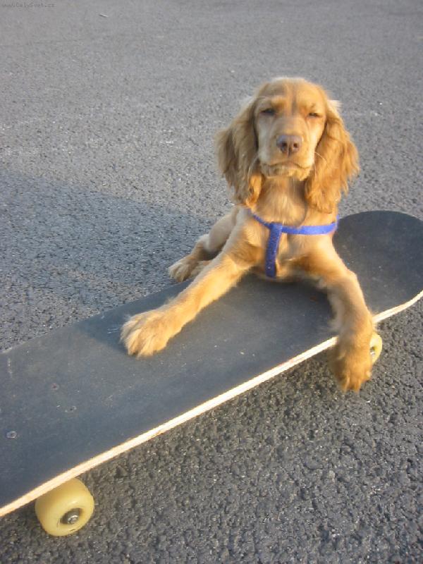 Foto: Nelline�ka na�e