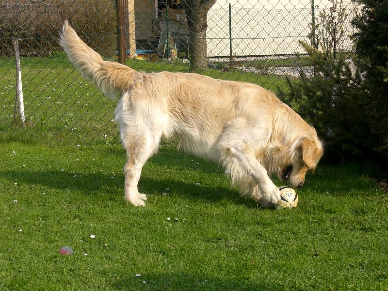 Foto: Amigo fotbalista-J� to asi sp� zblajznu!!!!!!!!!!!!