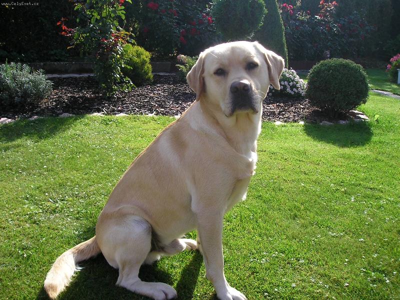 Foto: n� \"�um�\"