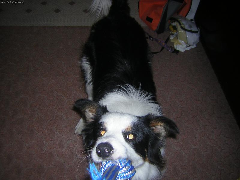 Foto: p�etahovan�-Beauty jak se p�etahuje