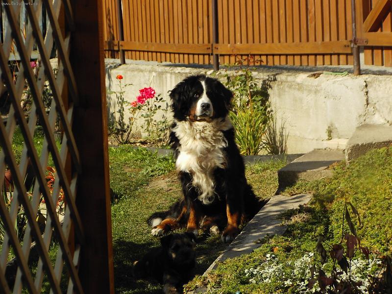 Foto: Na str�i...-Alenka Torn�do Erben