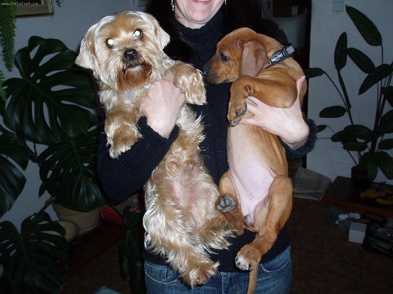 Foto: Moje k�mo�ka Conny