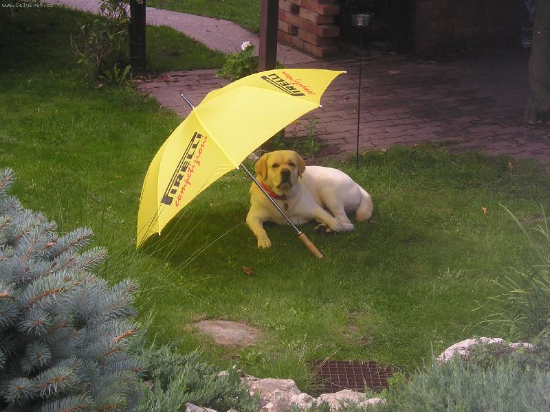 Foto: Aby se nesp�lil-pod de�tn�kem