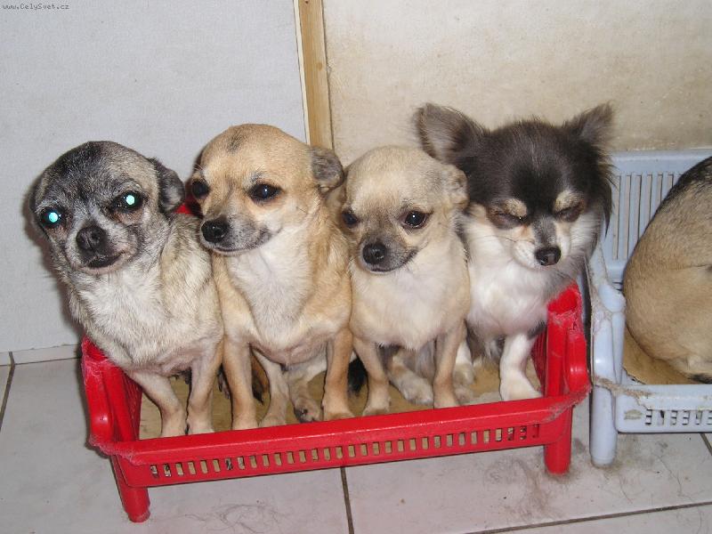 Foto: spolu je n�m fajn