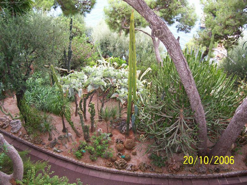 Foto: Monako-Terasov� zahrady u Oce�nografick�ho muzea.