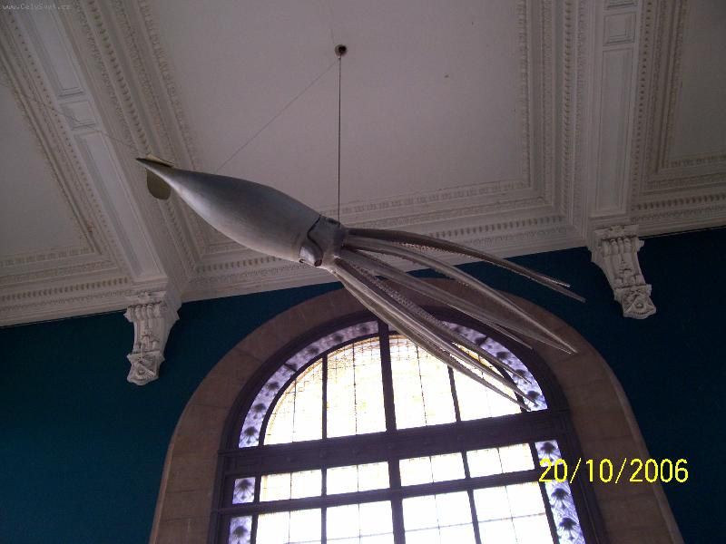 Foto: Monako-Expozice Oce�nografick�ho muzea.